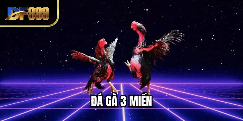 Đá Gà 3 Miền - Khám Phá Sức Hút Đấu Trường Truyền Thống